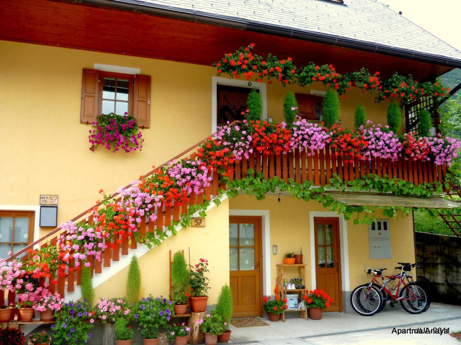 Apartment Anaya Paradise For Families Bovec Exteriör bild